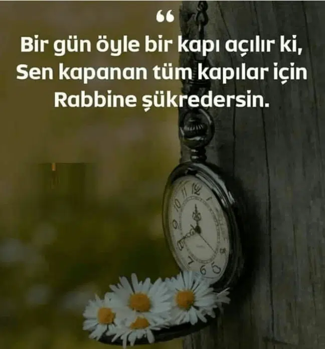 Gerçek İslamiyeti Anlamak ve Yaşamak