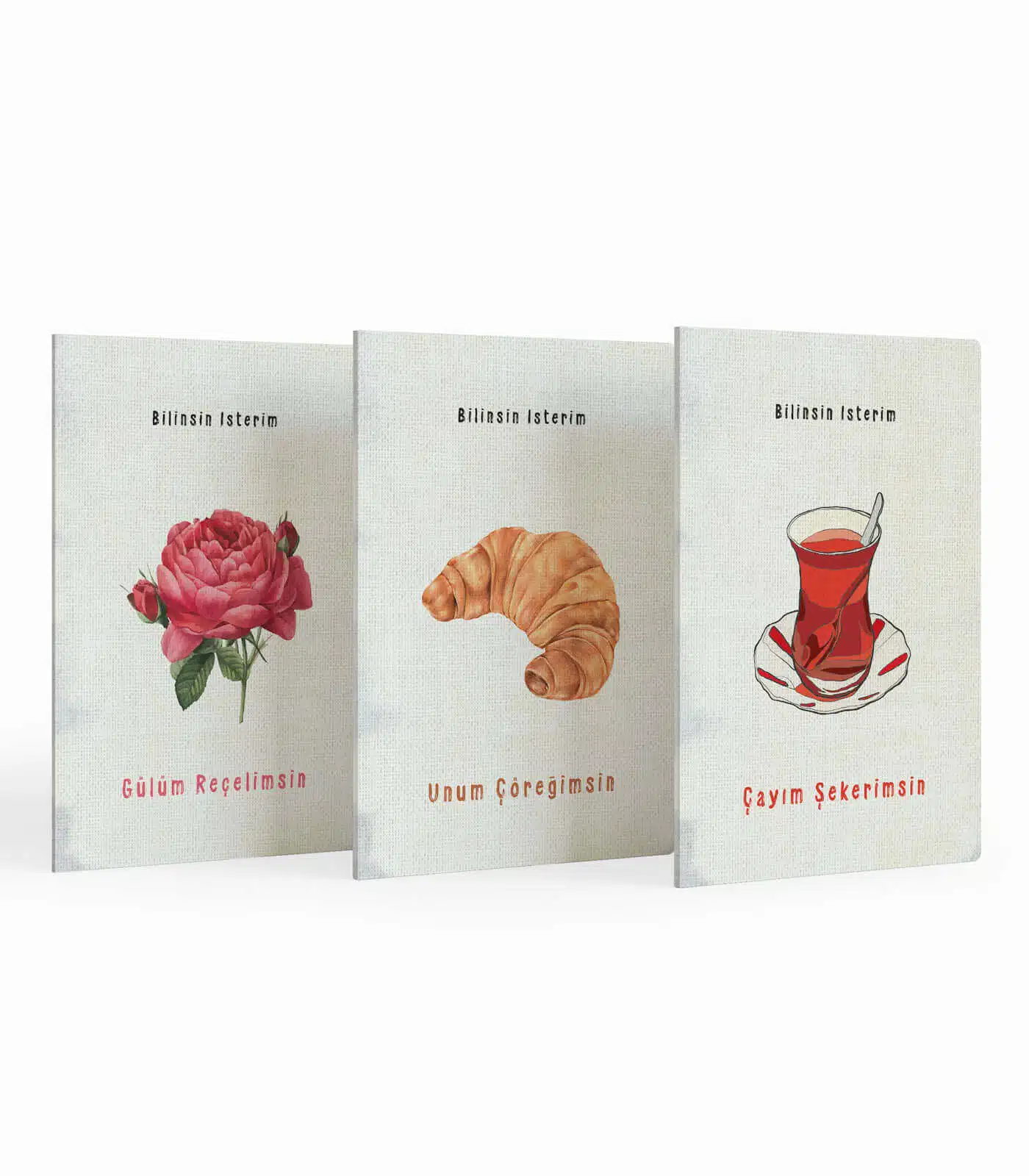Aç Aşık Defter Üçlüsü - Görsel 1