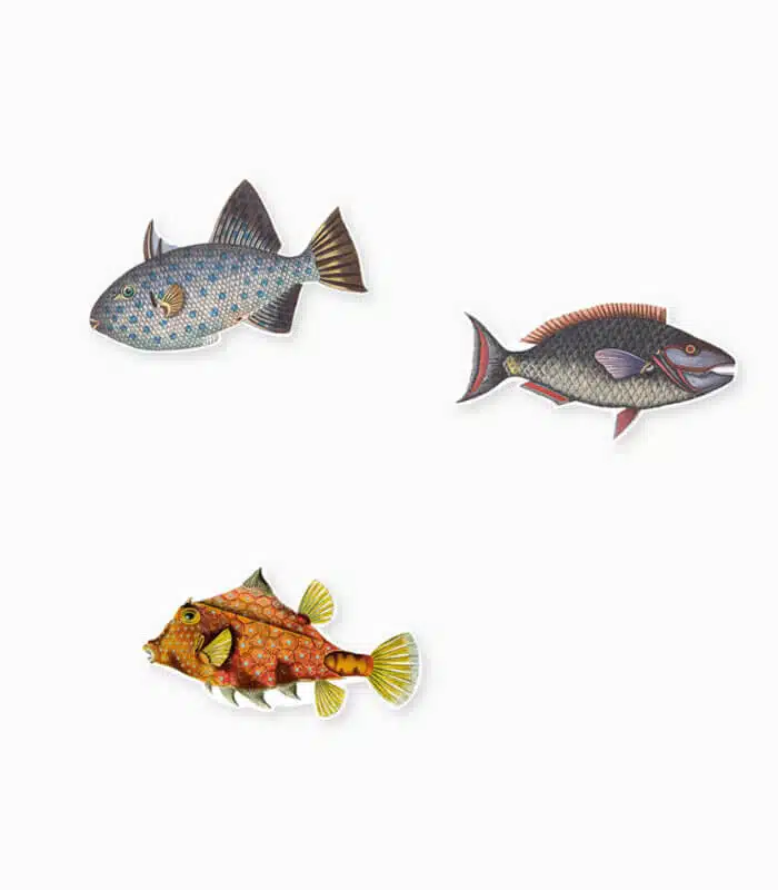 Balık Yapışkan Üçlüsü