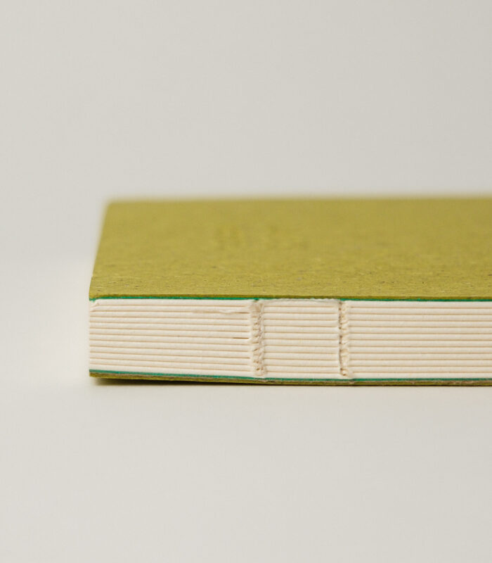 Fıstık Yeşili Kırçıllı Açık Ciltli Sert Kapaklı Defter - Görsel 3