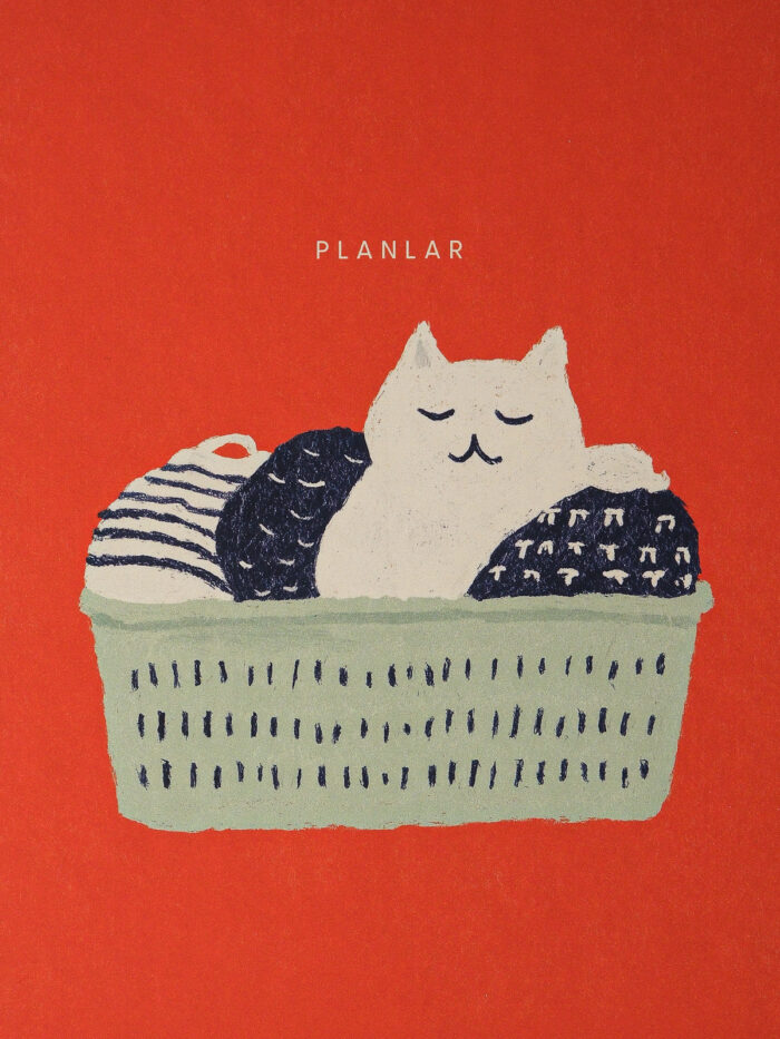 Sepette Kedi Sert Kapaklı Spiralli Süresiz Planlayıcı Ajanda 16x24cm - Görsel 3