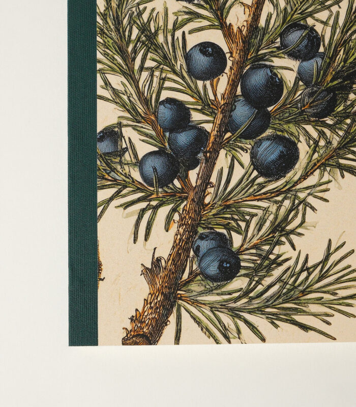 Yaban Mavisi Sırtı Bez Ciltli Defter - Görsel 3