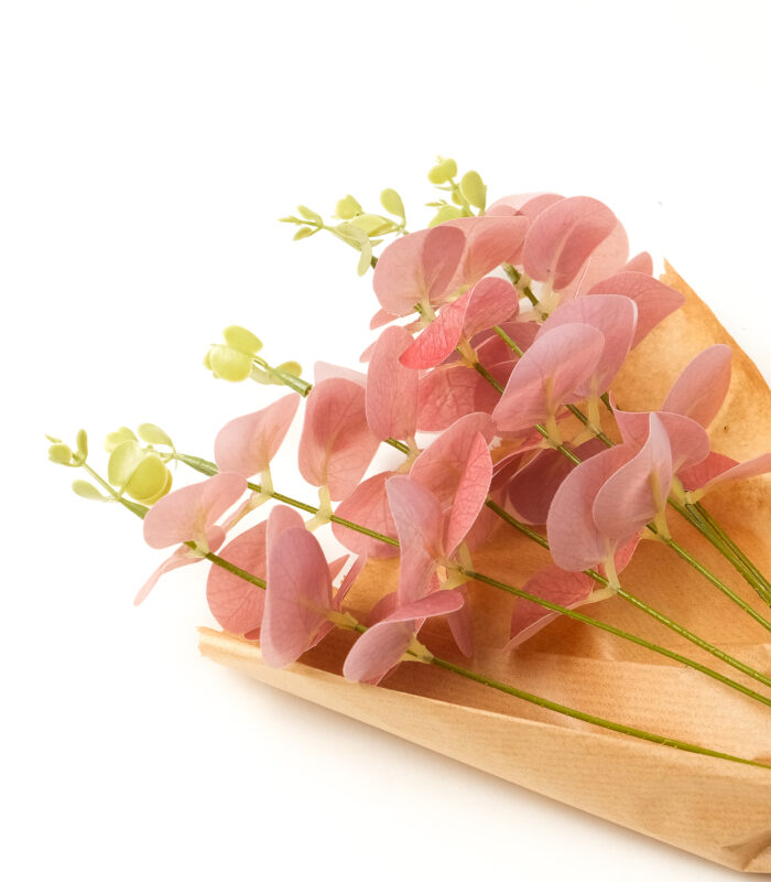 Somon Pembe Okaliptus Demeti - Görsel 3
