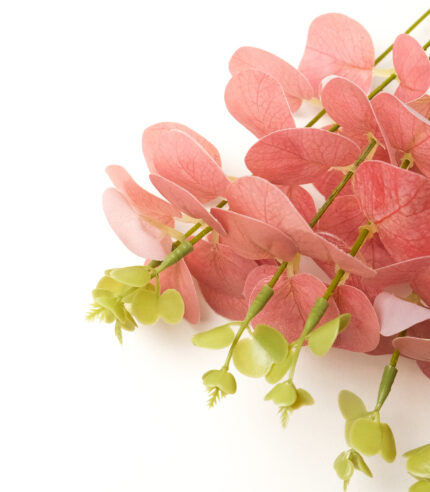 Somon Pembe Okaliptus Demeti